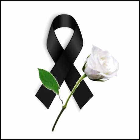 Imagen de lato con una flor blanca, lazo negro