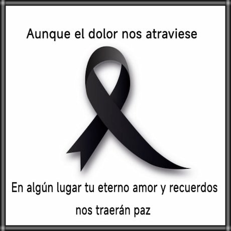 imagen de lazo de luto para descargar , una imagen que transmite luto