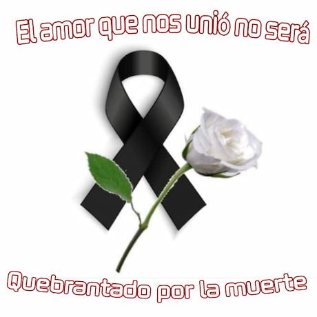 lazo de luto con una flor para con el significado de la tristeza
