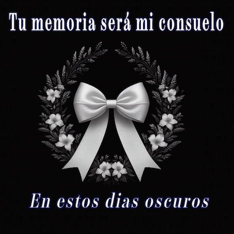 ver moños de luto blanco con un fondo negro y frases incluida